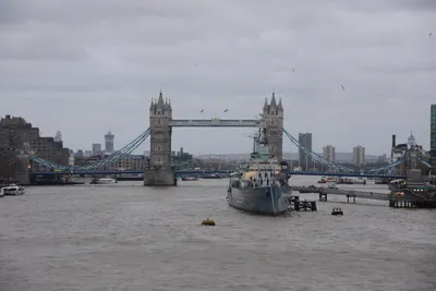 DSC_5656 (Large).JPG